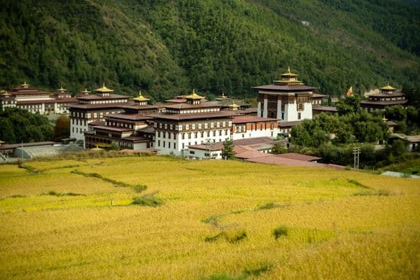 Bhutan Cricket Experience photo 1